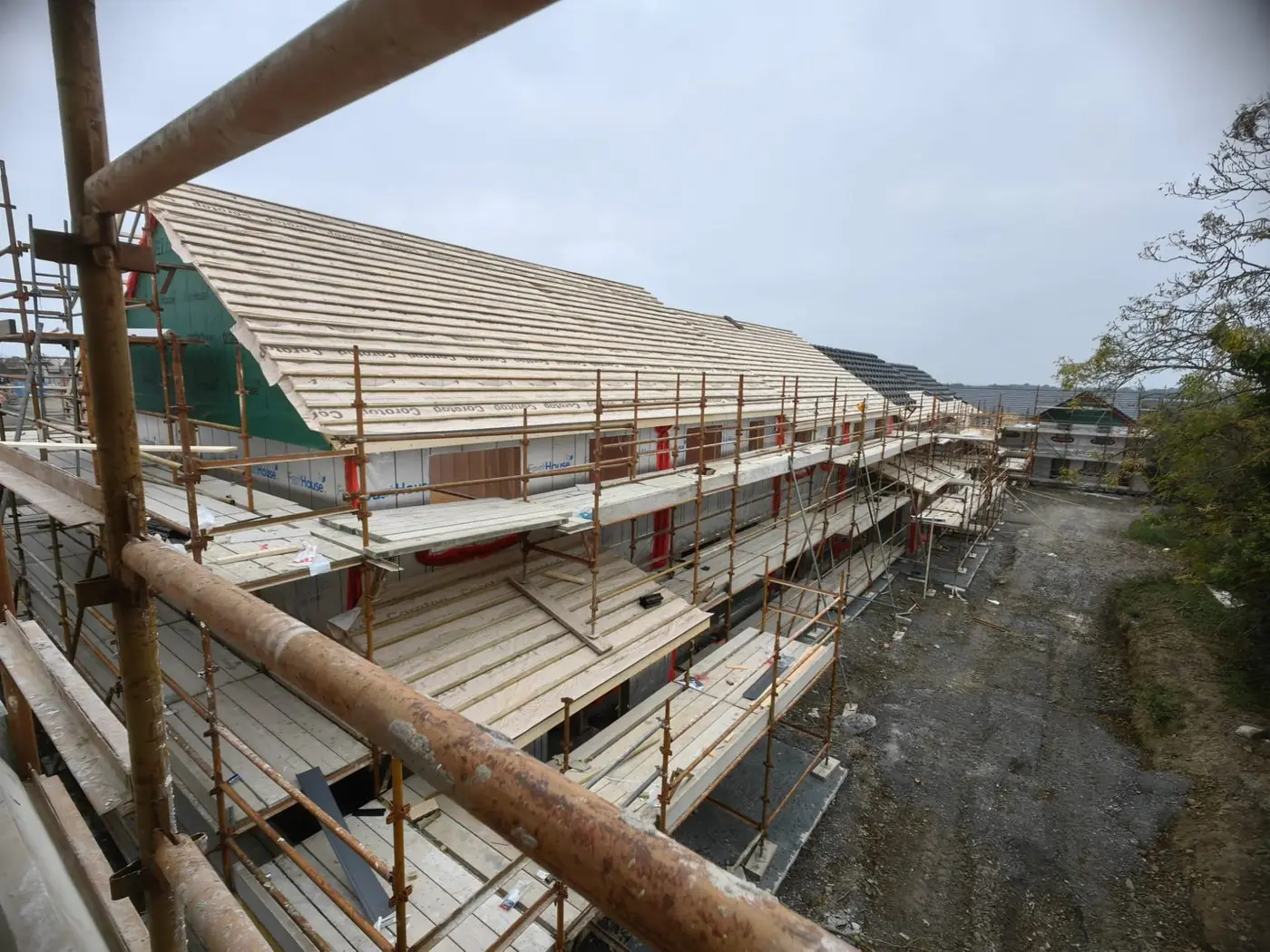 Roof framing project